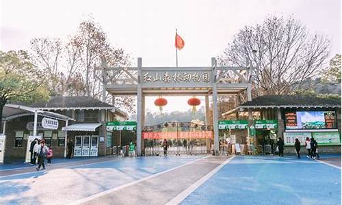 南京红山动物园_南京红山动物园老年人免票