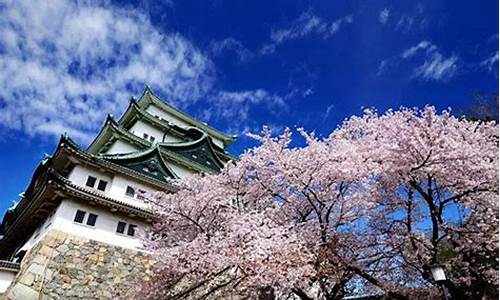 日本东京必去十大景点排名_东京到富士山一日游怎么安排